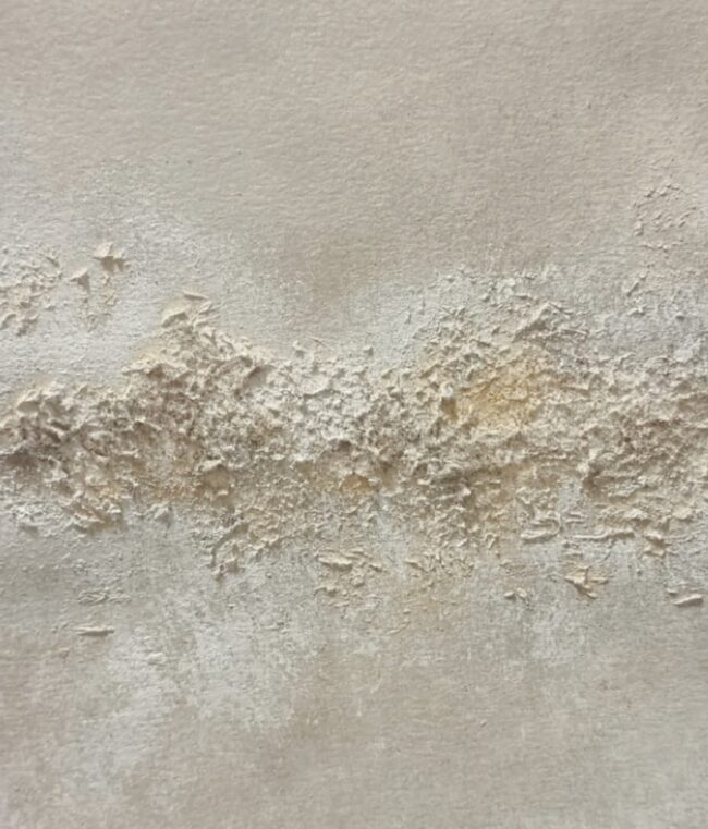 1 - 15 PÁRAMO 1 - 15 PÁRAMO