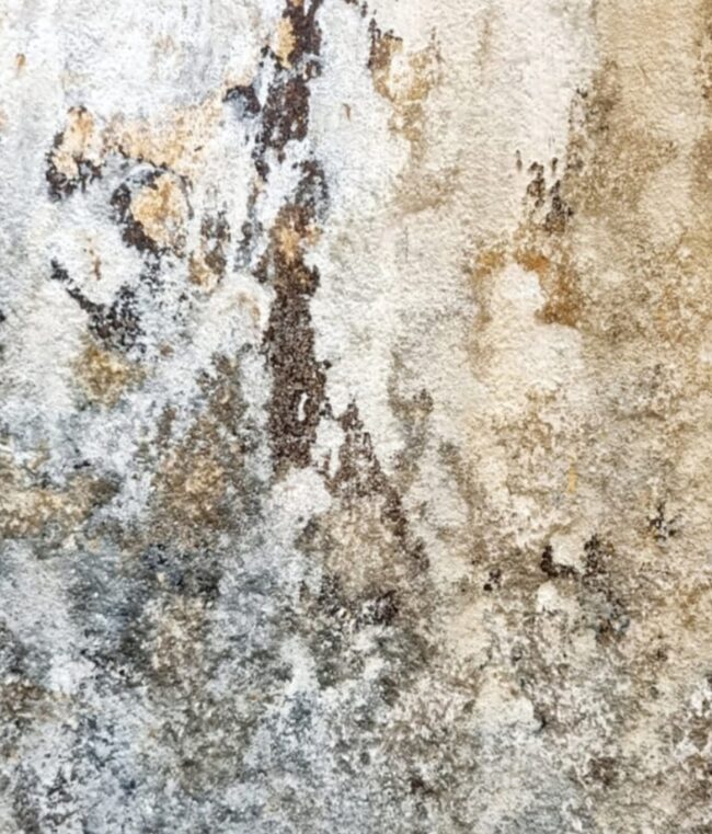 1 - 16 GRIETAS 1 - 16 GRIETAS