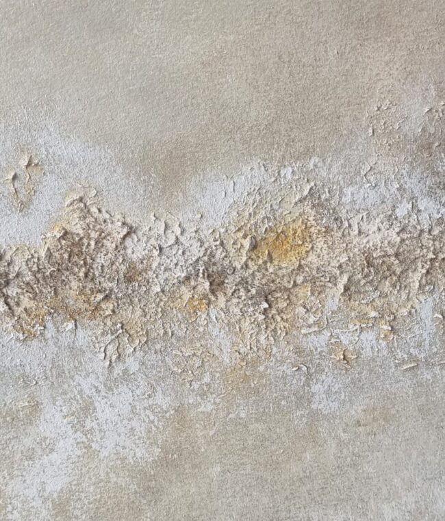 1 - 34 PÁRAMO 1 - 34 PÁRAMO