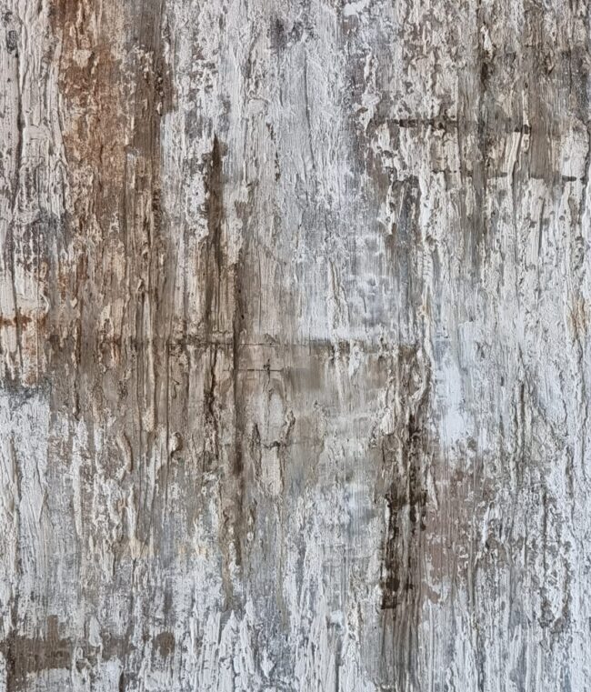 1 - 6 EROSIÓN II 1 - 6 EROSIÓN II