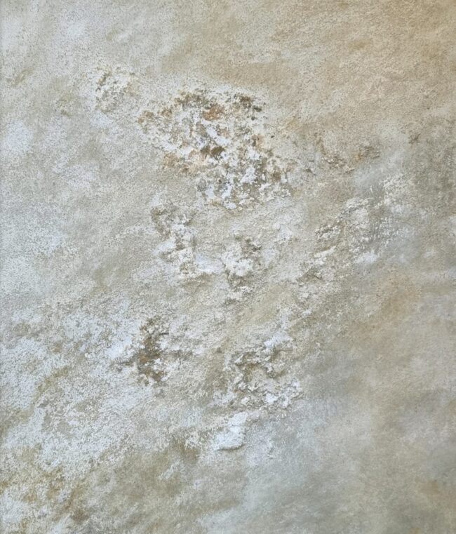 1 - 11 CREACIÓN 1 - 11 CREACIÓN