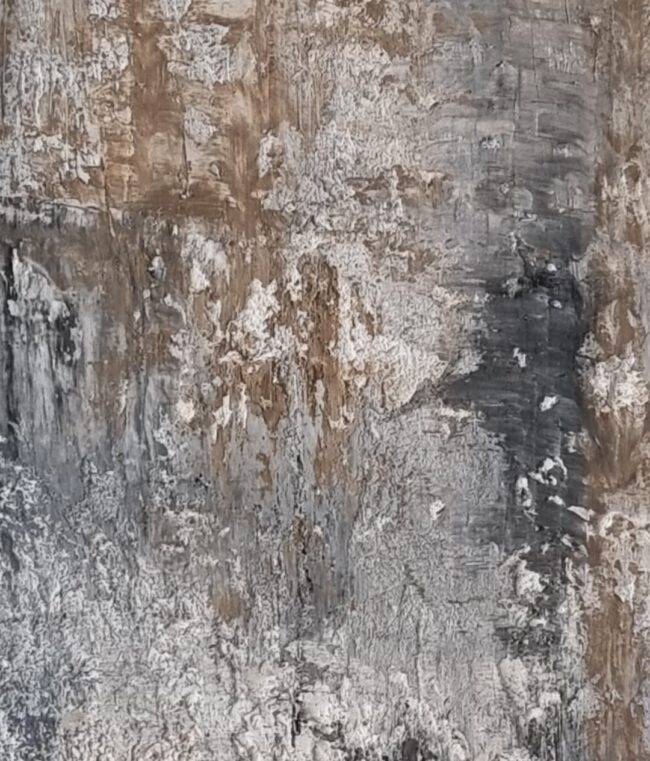 1 - 11 DESPERTAR 1 - 11 DESPERTAR