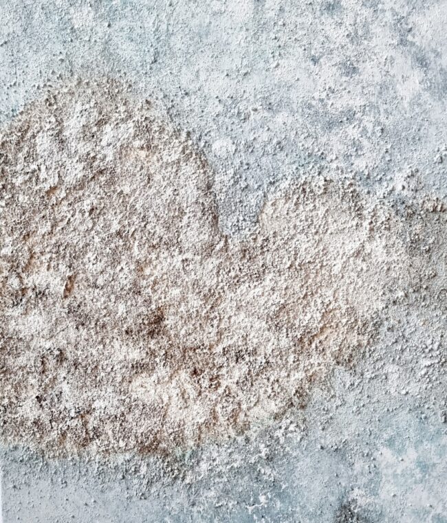 1 - 12 ISLA II 1 - 12 ISLA II