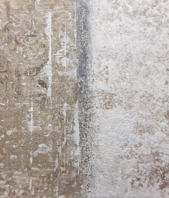 1 - 14 EFÍMERO 1 - 14 EFÍMERO