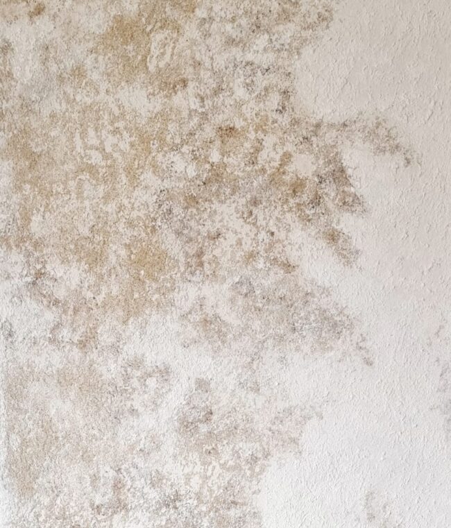 1 - 15 CONFÍN 1 - 15 CONFÍN