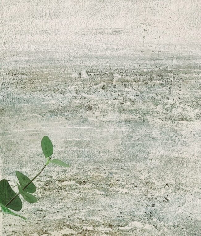 1 - 3 CALMA AZUL 1 - 3 CALMA AZUL