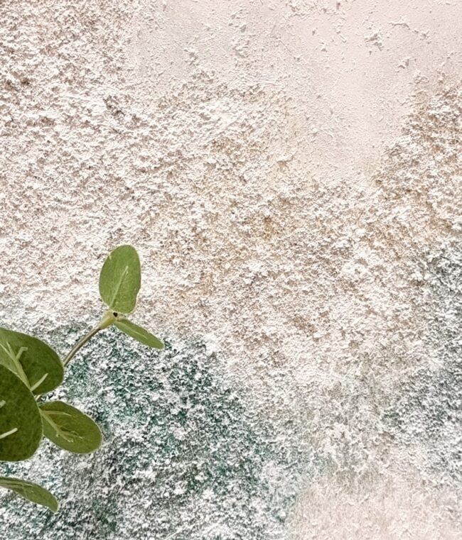 1 - 4 ENTREMARES II 1 - 4 ENTREMARES II