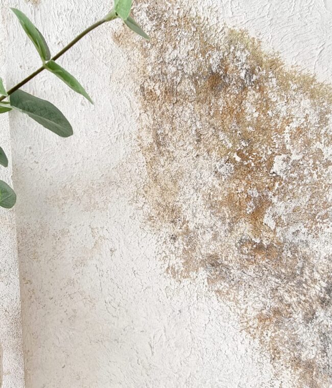 1 - 6 ISLOTE 1 - 6 ISLOTE