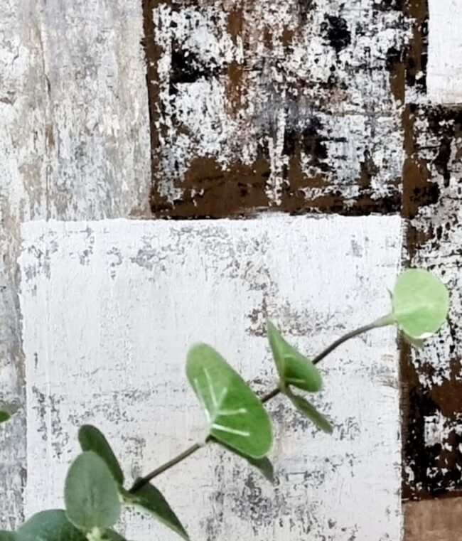 1 - 6 TRAZOS 1 - 6 TRAZOS