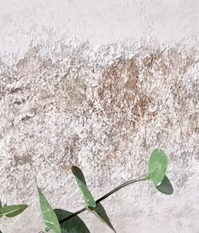 1 - 7 ETERNO 1 - 7 ETERNO