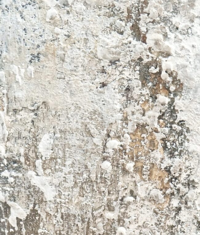 1 - 7 GEODA 1 - 7 GEODA