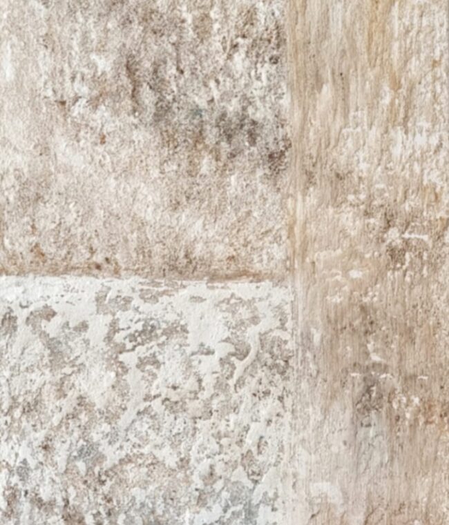 1 - 7 SABOR A CAL II 1 - 7 SABOR A CAL II