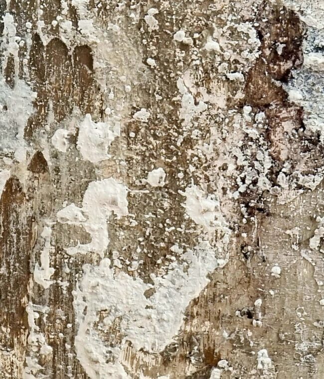 1 - 9 GEODA II 1 - 9 GEODA II